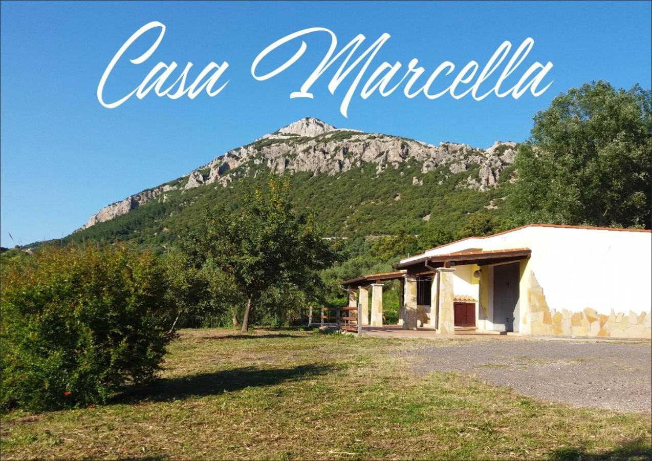 Casa Marcella Apartment Dorgali Luaran gambar